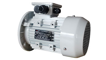 poza motor electric trifazat germania lateral